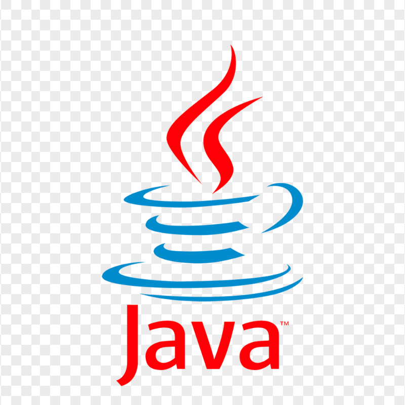 Java Technology Partner