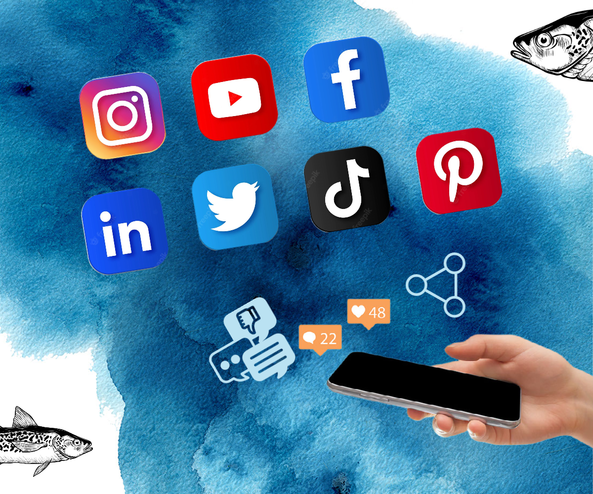 Media and Entertainment Software Madurai